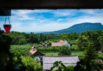 Fedezd fel a Váli Birtokot