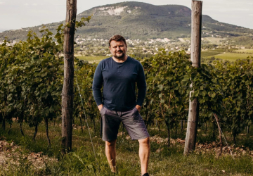 We Love Balaton: A változatosság vidéke – 5 borász 5 kedvenc dűlője az északi parton